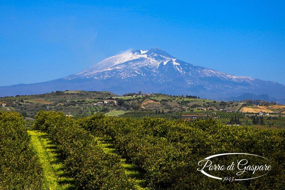 Catania: Pozzo di Gaspare Farm Guided Tour with Tastings - Key things I’d mark on your mental map