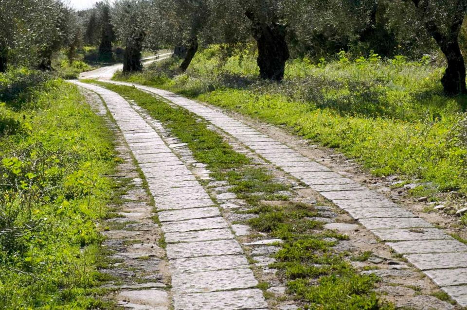 Catania: Pozzo di Gaspare Farm Guided Tour with Tastings - A hands-on farm tour on the Catania plain