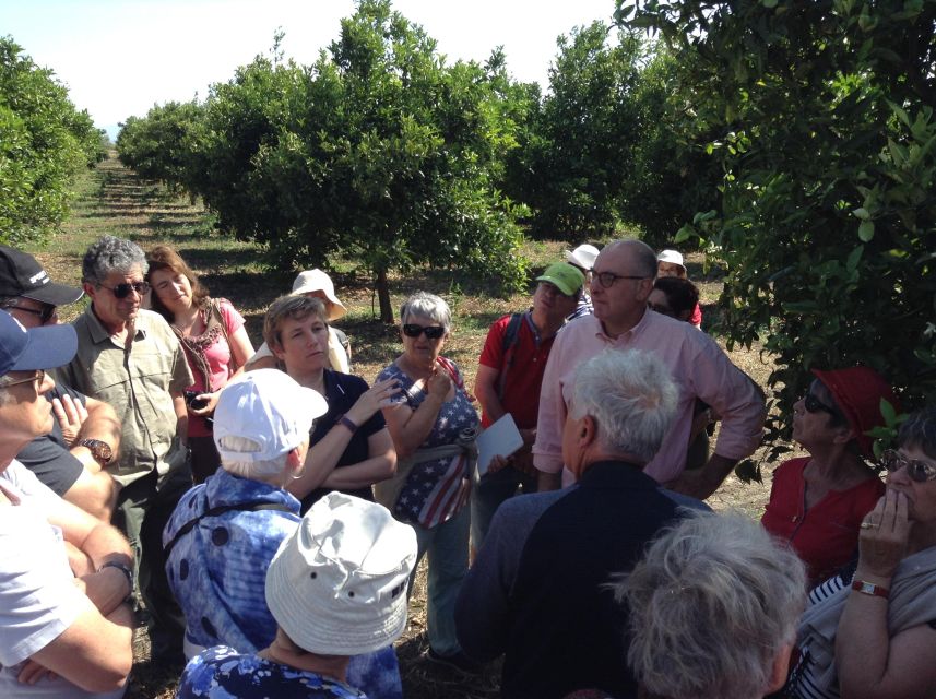 Catania: Pozzo di Gaspare Farm Guided Tour with Tastings - Practicalities: timing, meeting point, and what to pack