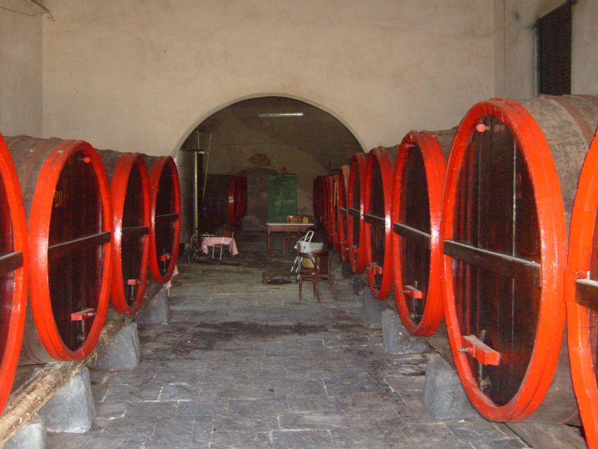 Catania: Pozzo di Gaspare Farm Guided Tour with Tastings - The hand-dug Pozzo di Gaspare well (and why it matters)
