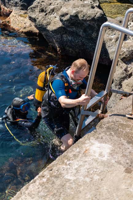 Catania: Scuba Diving Experience - What you’ll see off Catania: lava flows, caves, and sea life