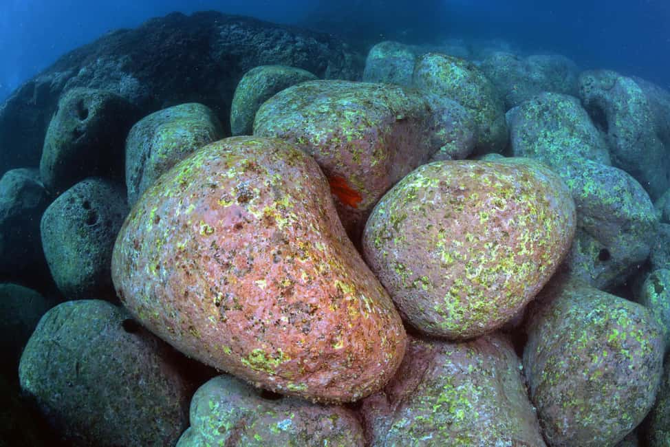 Catania: Scuba Diving Experience - Practical tips for first-timers (especially if nerves show up)