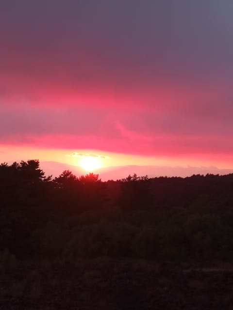 Catania: Sunset Trekking on Mount Etna with Wine Tasting - Silvestri Craters at about 2,000 meters: where the terrain gets specific