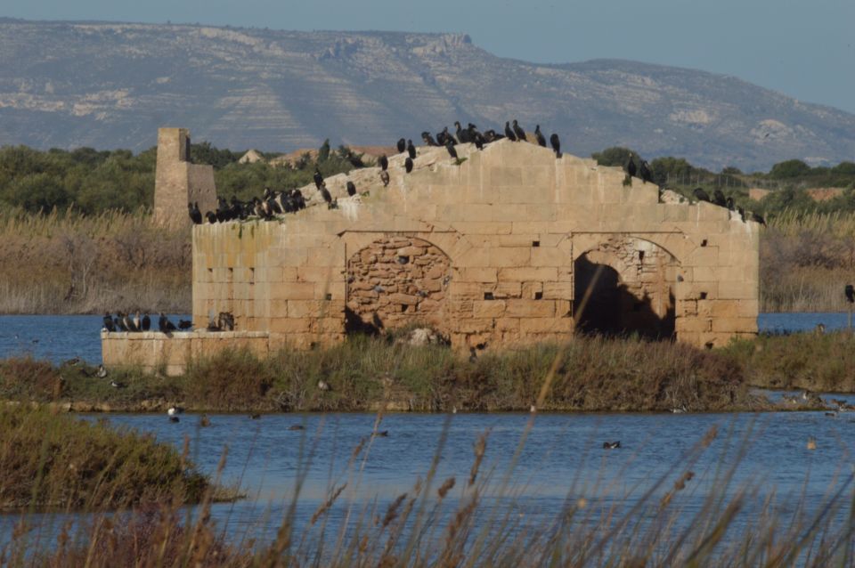 Catania: Vendicari, Marzamemi and Noto Day Trip - Who should book this and who should skip it
