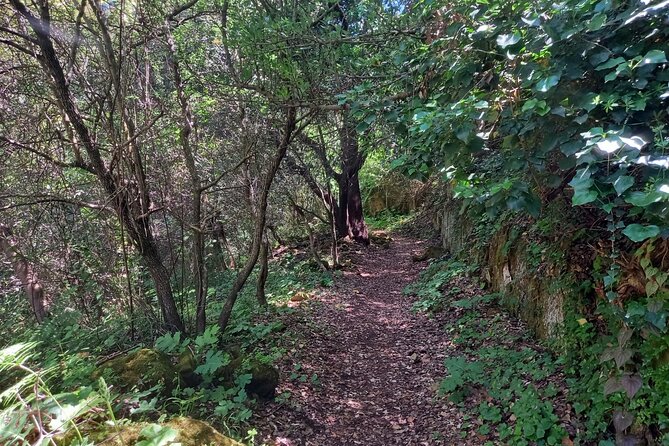 Cavagrande hiking tour - Why Cavagrande del Cassibile is worth the morning start