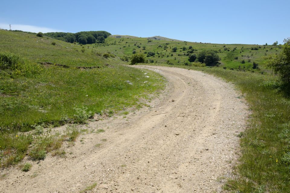 Cesarò: Full Day Tour of Nebrodi Park in a 4x4 - Key highlights to look for