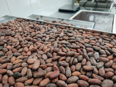 Chocolatier for a day: raw bean to bar chocolate in Modica - The 3-hour flow: roast, grind, refine, and build your bar