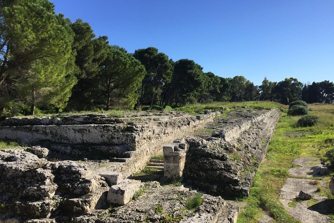 Classical Syracuse - Half day guided tour - Logistics that actually matter: tickets, transfers, and timing