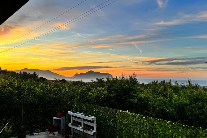Cooking class in a villa with Palermo view - Price and Value: Why $139.13 Can Make Sense