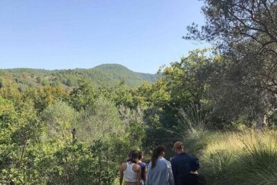Cooking class in the countryside with Simona - The Cooking Part: From Pasta Dough to Shaped Goodness