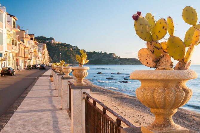 Cooking Class with Seaview with Chef Mimmo - Cannoli + limoncello: the sweet finish that feels very Sicilian