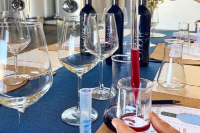 Create Your Perfect Blend with Our Wines. - Inside the tasting: choosing from red and white styles