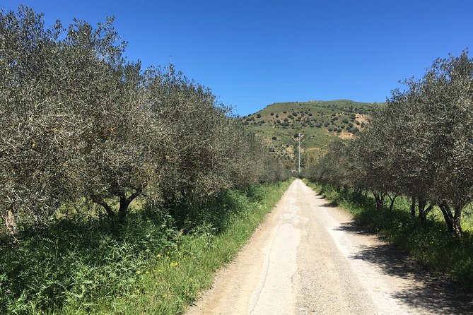 Daily Biking in the Rural Sicily - Timing and pacing: what a 7–9 hour day means in real life