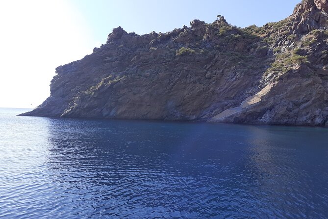 Daily Sailing Tour in Palermo with lunch. - Comfortable Boats, Floaties, and the Small-Group Pace