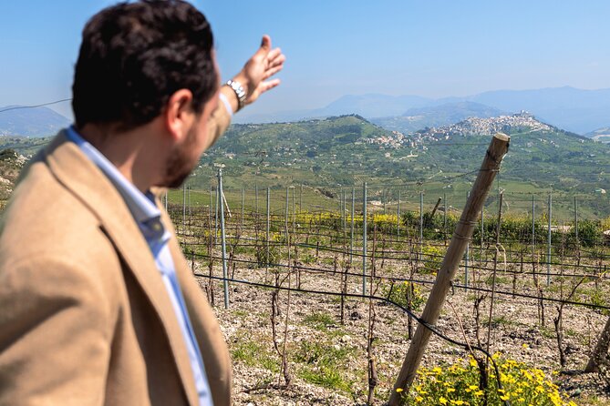 Di Giovanna Winery Tour & 3 Wine Tasting - Key things to know before you go