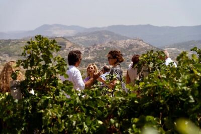 Di Giovanna Winery Tour & 3 Wine Tasting - Step into the organic vineyards and winery process