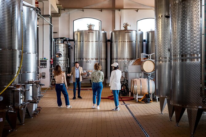 Di Giovanna Winery Tour & 3 Wine Tasting - Olive oil, bread, and cheeses: the pairing that keeps it real