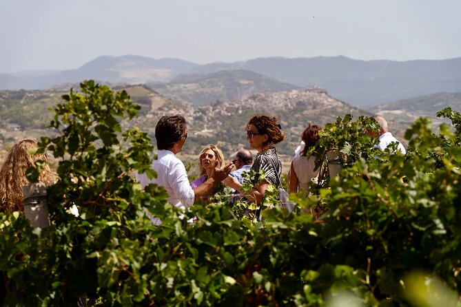 Di Giovanna Winery Tour & 3 Wine Tasting - Step into the organic vineyards and winery process