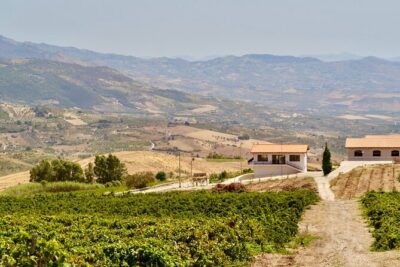 Di Giovanna Winery Tour & 5 Wine Tasting - The New Tasting Room: Five Wines, Clear Explanations, No Guesswork