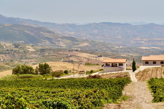 Di Giovanna Winery Tour & 5 Wine Tasting - The New Tasting Room: Five Wines, Clear Explanations, No Guesswork