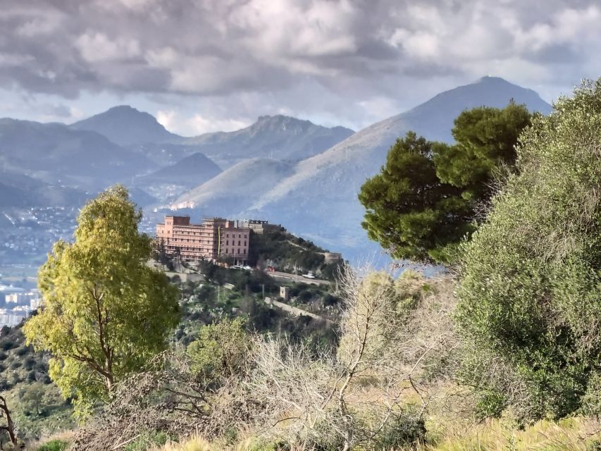 Discover MtPellegrino with a PRIVATE Guided Bike Tour - The return ride: longer downhill momentum and paved-road views