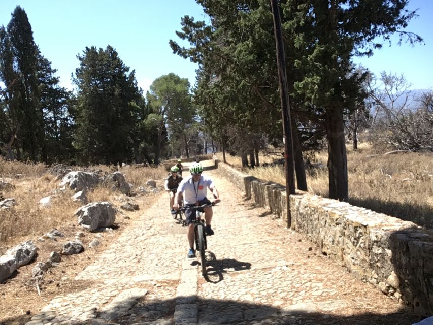 Discover MtPellegrino with a PRIVATE Guided Bike Tour - How hard is it, really? Mountain bike climbing with options
