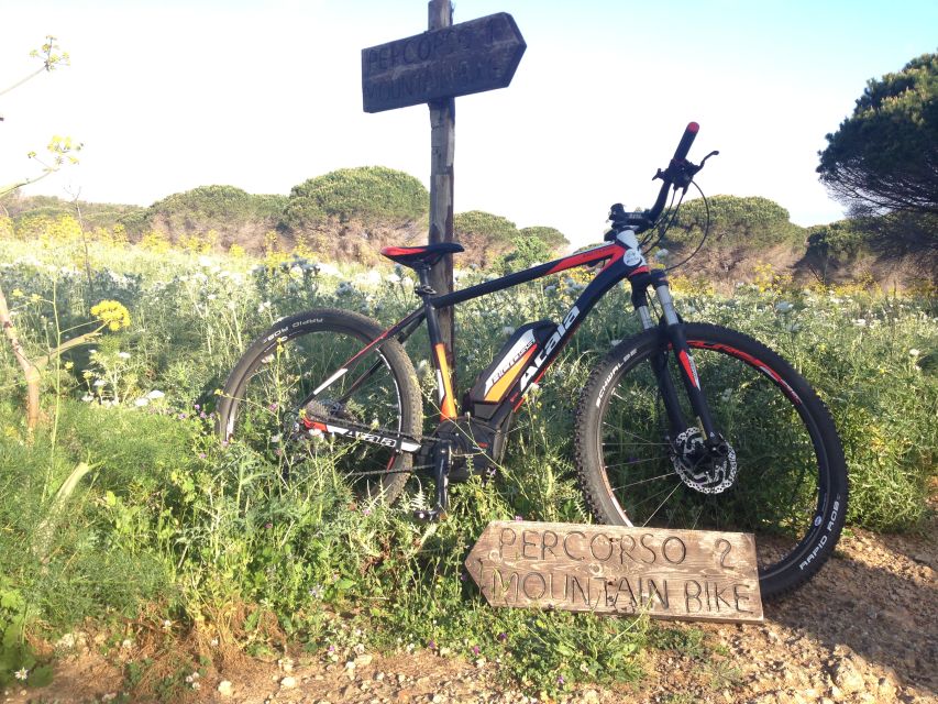 Discover MtPellegrino with a PRIVATE Guided Bike Tour - Price and value: $106 for a private 3.5-hour ride