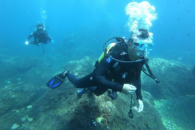 Discover scuba diving - The 2.5-hour flow: gear up, practice skills, then go to 12m