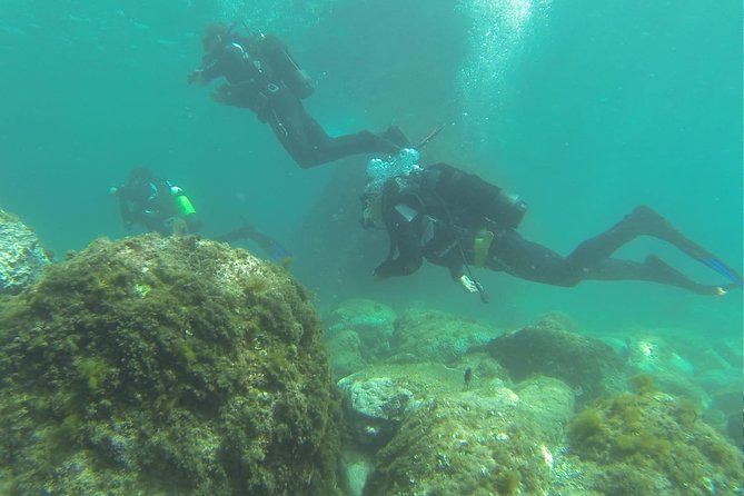 Discover scuba diving - Price and value: is $143.79 a good deal?