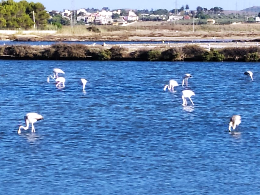 Discover Trapani's Saltpans with an E-Bike Tour - Why Trapani’s Saltpans Work So Well by E-Bike