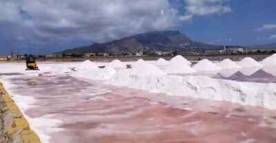 Discover Trapani's Saltpans with an E-Bike Tour - Natural Reserve of Saline: Birds, Wind, and Salt Air