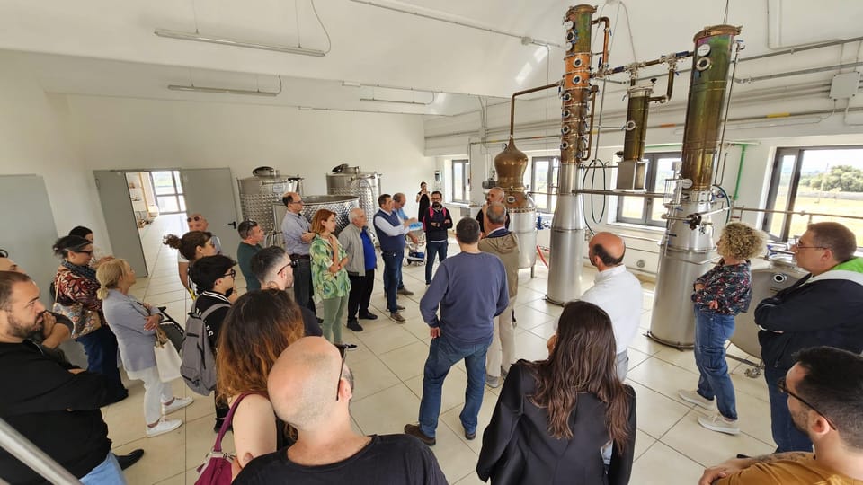 Distilleria Alma- Rum Distilery Guided Tour & Tasting - The production steps you’ll actually hear about