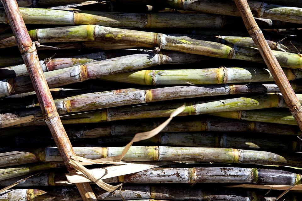 Distilleria Alma- Rum Distilery Guided Tour & Tasting - Price and value: is $23 a fair deal?