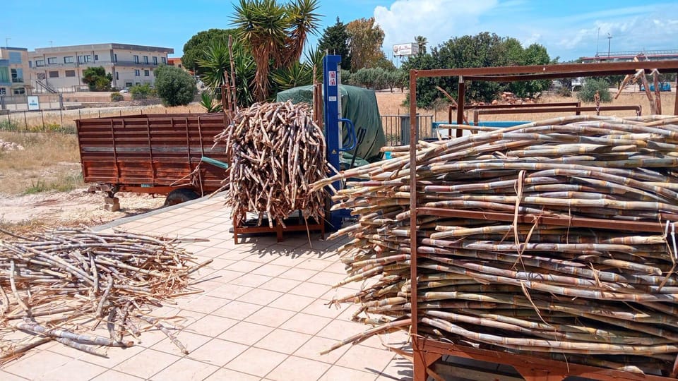 Distilleria Alma- Rum Distilery Guided Tour & Tasting - Practical tips so you enjoy the whole day