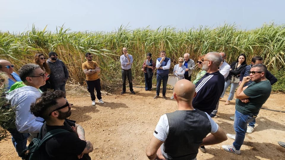 Distilleria Alma- Rum Distilery Guided Tour & Tasting - Who should book this tour