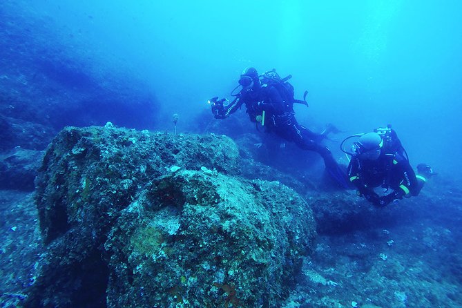 Diving for certified divers with PADI 5<em> Diving Resort – Taormina – Intro Options and Mixed-Level Days: How This Works If Your Group Isn’t All Certified’ /><br />
Even though this particular day is presented for <strong>certified scuba participants</strong>, the program notes indicate <strong>intro underwater options and snorkeling</strong> can be available during the daily schedule.</p>
<p><p>That’s useful if:</p>
</p>
<ul>
<li>You’re certified but your friend is not</li>
<li>Someone wants snorkeling while you do both underwater sessions</li>
<li>You want a shared day on the water without splitting into separate tours</li>
</ul>
<p><p>You’ll want to coordinate expectations at booking, especially if you’re bringing people who are doing snorkeling instead of the underwater component. The best “smooth day” comes from knowing who is doing what before you arrive, so the crew can organize buoyancy gear, briefings, and time on the water.</p>
</p>
<h2 id="timing-and-weather-the-two-things-you-should-respect">Timing and Weather: The Two Things You Should Respect</h2>
<p><img width="669" height="446" decoding="async" src=