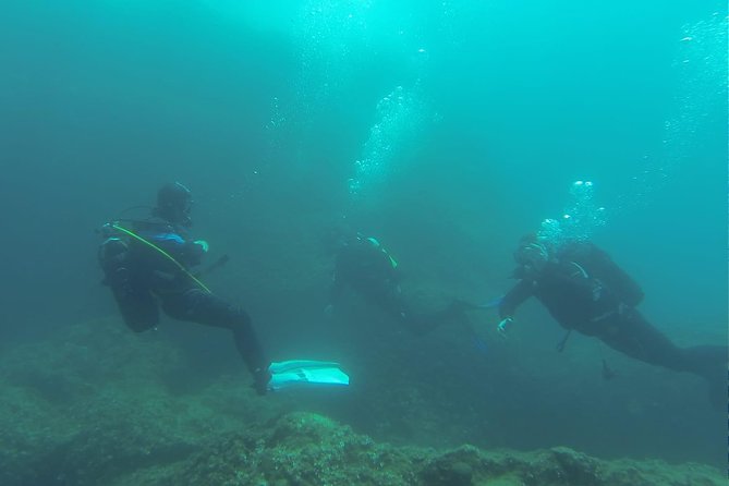 Diving for patented divers - The surface interval: a real reset, not a gap in the schedule