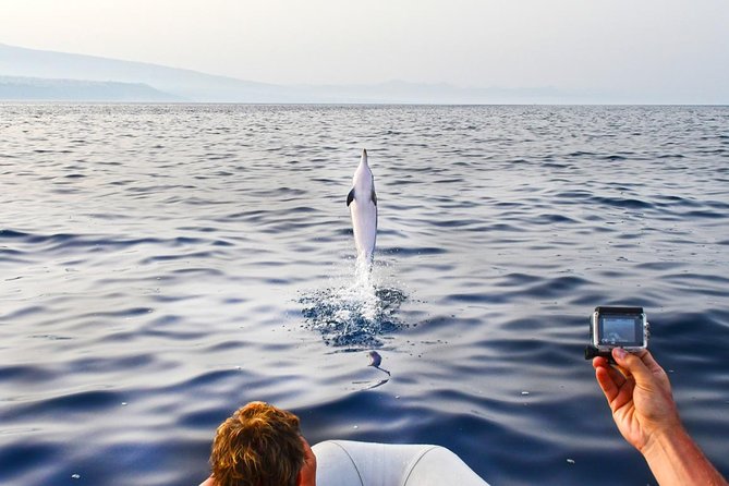Dolphin Watching & Conservation - Dolphins in the Gulf of Catania - Meet Marecamp at Club Nautico Catania and get the schedule down