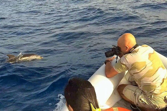 Dolphin Watching & Conservation - Dolphins in the Gulf of Catania - Eco-sustainable dolphin watching: the ACCOBAMS standard you can feel