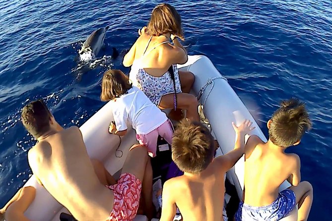 Dolphin Watching & Conservation - Dolphins in the Gulf of Catania - Practical comfort tips: boats, shade, sun, and kids