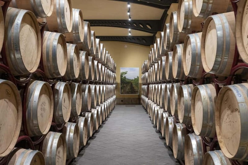 Duca di Salaparuta: Tour of the winery and wine tastings - The wine tasting: what you’ll sample and how to taste it like a pro