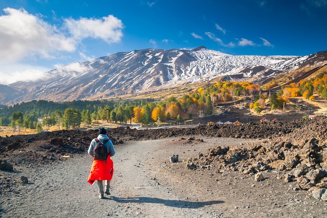 Easy North Etna Hike - Price and Value: Is $142.19 Worth It?