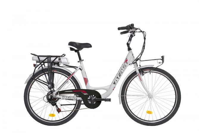 Ebike Rental in Palermo - The E-Citybike: what the motor specs mean on the street