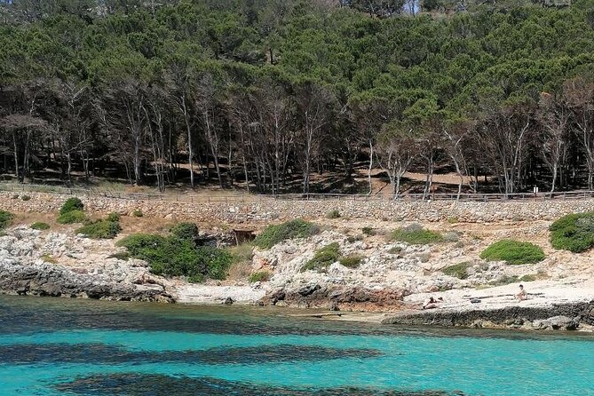 Egadi Islands Boat Tour: Favignana and Levanzo with Lunch - From Trapani to Egadi: the day’s rhythm (and why it works)