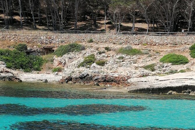 Egadi Islands Boat Tour: Favignana and Levanzo with Lunch - Price and value: is $78.44 per person a good deal?