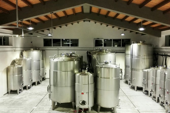 Embark on a Sicilian Wine Journey - Key Highlights You’ll Feel From the Start