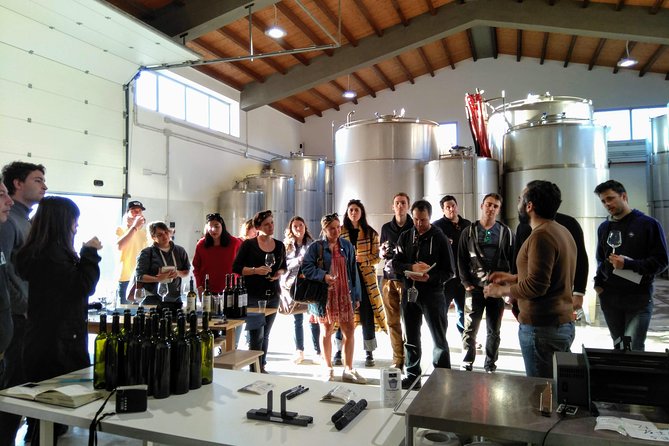 Embark on a Sicilian Wine Journey - Price and Value: What $47.93 Buys You in Real Terms