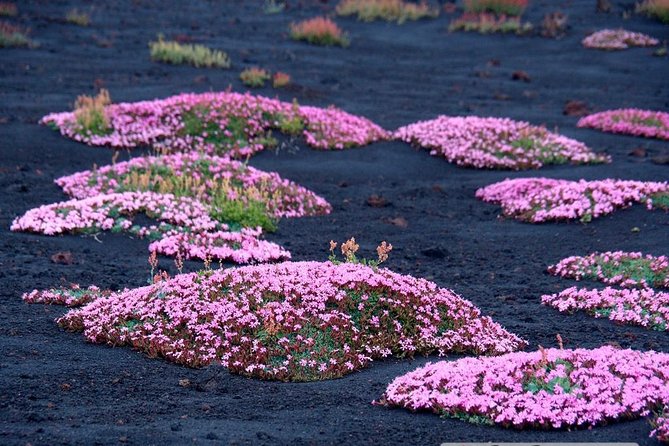 Etna 3000 from the south with Cable Car and trekking – Morning or Afternoon - Valle del Bove From Above: The Big Depression View