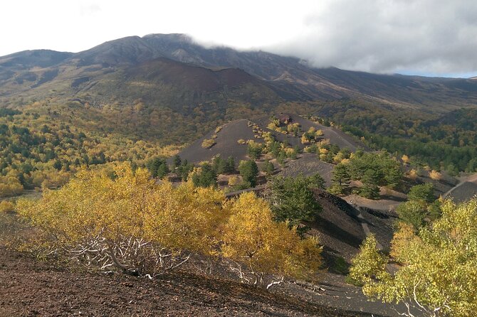 Etna & Alcantara - Piano Provenzana: Honey, Liqueur, and the 2002 Eruption Link