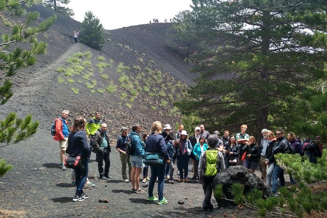 Etna Alcantara tour: the majestic lava landscape - Sicilian specialties: tastings and what to do about lunch